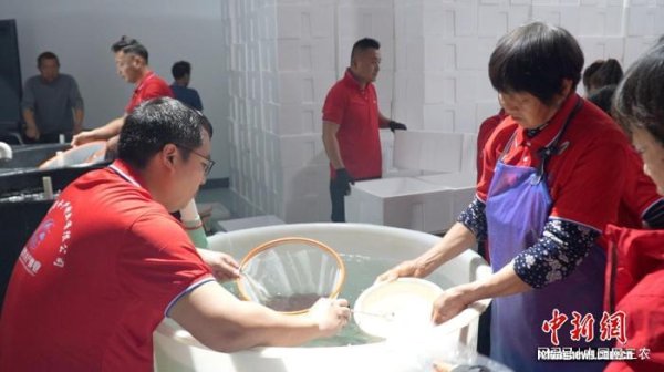 股市配资平台 浙江湖州：沼虾出苗迎高峰 科技助力渔业丰收